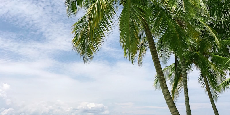 Rarotonga coastline on the KU:BER Two Hour Tiki Tour